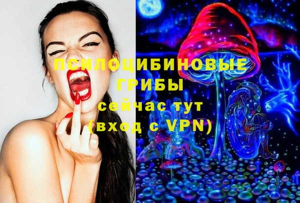 гидра Беломорск