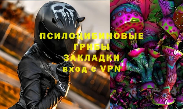 метадон Белокуриха