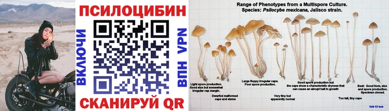 Псилоцибиновые грибы GOLDEN TEACHER  Кемерово 